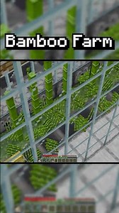 I Built a BAMBOO FARM in Minecraft Survival (#52)