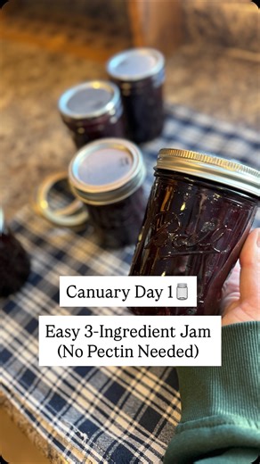 The Sprouting Homestead | Alberta Homesteader on Instagram: "Easy 3-Ingredient Jam (No Pectin Needed) Comment “JAM” for the full printable recipe sent to your DMs or find it below! INGREDIENTS 2 lbs fruit (fresh or frozen) 1 lb sugar ¼ cup bottled lemon juice or *½ Tbsp citric acid If using citrus fruits, use a 3:2 fruit-to-sugar ratio instead. INSTRUCTIONS Combine fruit, sugar, and lemon juice (or citric acid) in a large stock pot. Heat on medium-low, stirring occasionally, until sugar dissolve