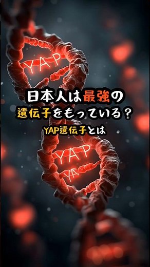 YAP遺伝子とは？日本人の本来の力。 #YAP #日本人 #遺伝子 #都市伝説 #雑学