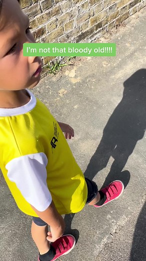 When Were Dinosaurs Alive? Exploring Ancient History