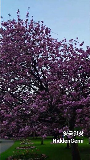 Town Gardens, Swindon, UK
