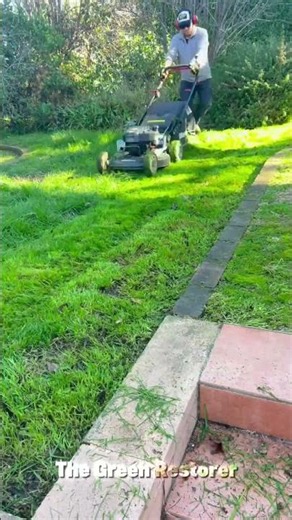 Blowing | Pressure Washing | Mowing | Cutting | Scraping #shorts #satisfying #gardening