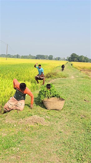 "Crazy Farm Prank! 😂 You Won’t Believe What Happens!"