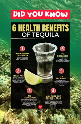 DID YOU KNOW: 6 Health benefits of TEQUILA | Checklist Studio