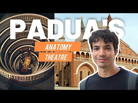 I Went to the World's First Anatomy Theatre