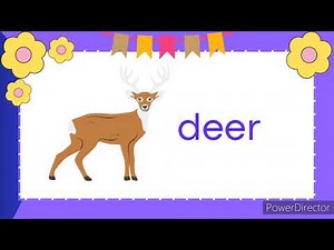 Letter Dd | Letter Sounds | Letters of the Alphabet | Phonics | Read and Learn Words with Letter Dd