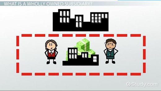 Wholly Owned Subsidiary | Definition & Examples