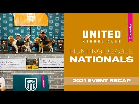 2021 UKC Hunting Beagle Nationals | United Kennel Club