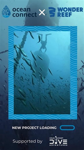 Citizen Science and Marine Education on Instagram: "🌊 Something exciting is coming… 🌊 We’re getting ready to launch the Wonder Reef Citizen Science Project, and we can’t wait to share it with you! Over the next few weeks, we’ll be revealing how you can get involved, what we’ll be exploring, and how your observations will help protect and understand our incredible marine life. 👀 Watch this space for updates, announcements, and ways to dive in with us! ⚠️ Important note: Wonder Reef sits deep a