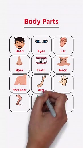 Learn English: Body Parts Vocabulary