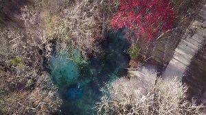 757K views · 2.7K reactions | More than 90% of people in Florida get their freshwater from the Floridan aquifer. With an increasing population creating more demand on an already stressed water supply, learn what we can all do to save our freshwater. | National Geographic | Facebook