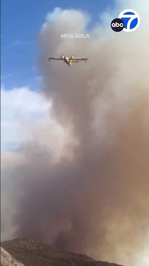 Pacific Palisades brush fire