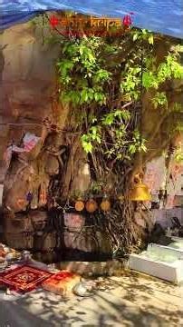 365 Days of Natural Abhishek: Amreshwar Mahadev #shivkripa