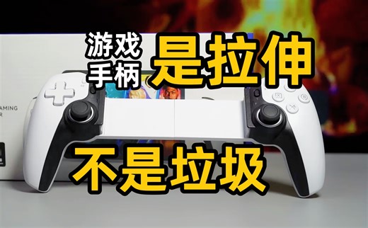 【小谈D9手柄】要的是拉伸，不是垃圾，这是怎样的一款手柄啊