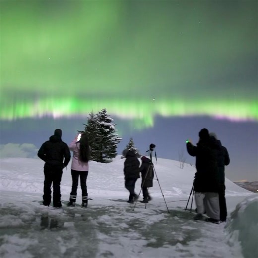 Pink fast moving aurora 🤩🤩 | Aurora Borealis Observatory