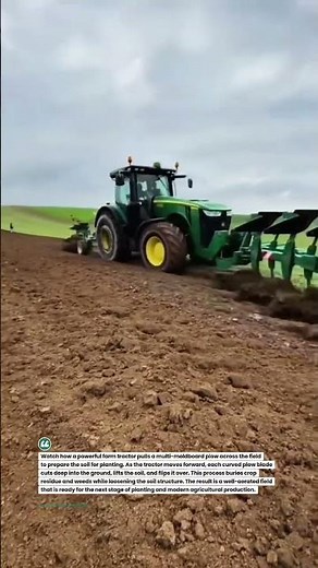 Heavy Tractor Plowing Field with Multi Moldboard Plow #Farming #Agriculture #Tractor