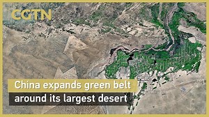 China expands green belt around its largest desert