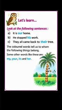 Possessive Pronoun|
