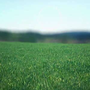 997 reactions · 261 shares | The Aspiration debit card lets you plant a tree with every purchase. We’ll round up your purchase to the nearest dollar and plant a tree for every swipe. Sign up today! | greenfibanking | Facebook