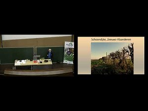 Bert Maes - Wilde bomen en struiken in Zeeland