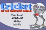 Play Cricket in the Computer World | Free Online  Games. KidzSearch.com