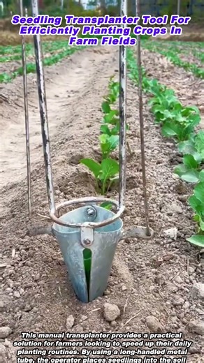Seedling Transplanter Tool For Efficiently Planting Crops In Farm Fields