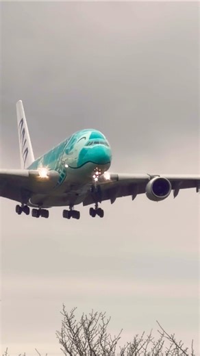 A380/ANA成田空港ランディング #shorts