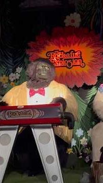 The Rock-afire Explosion