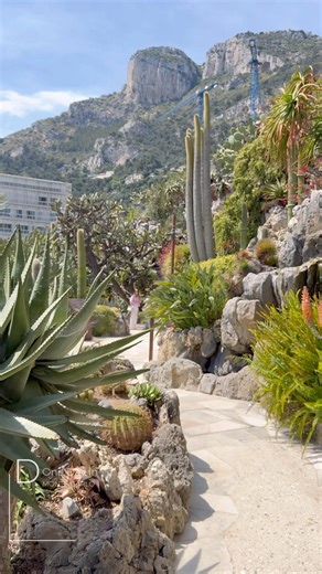 Jardin Exotique Monaco 🔥 Secret Cave Tour