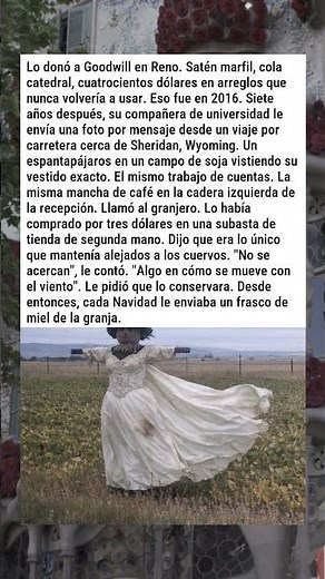 VESTIDO DE NOVIA DONADO HALLADO EN ESPANTAPÁJAROS 👗🌾😂