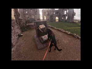 Epic Explore of Raglan Castle with the Mad Mutts