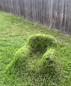 This lawn chair is made out of the lawn itself