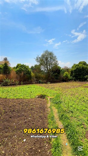 Real Estate Portal on Reels