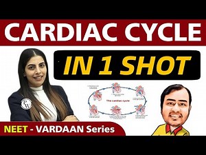 Cardiac Cycle in 1 Shot | Class 11 | NEET | Vardaan Series