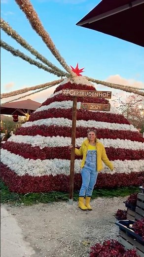 🎄 Pure #Christmas feeling at the Gertrudenhof in Hürth ✨🎅🏻 Destination for families