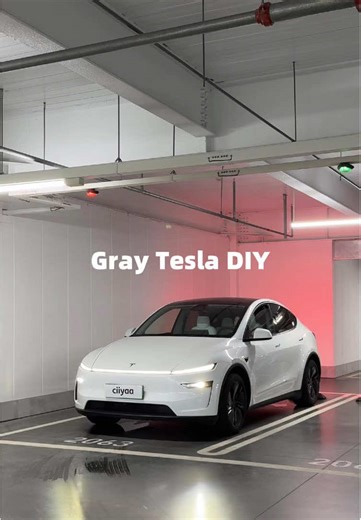 Gray Tesla DIY #tesla #teslamodel3 #teslacar #teslamotors #teslamodely