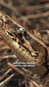 Look out for snakes in the water! | Swamp People on History