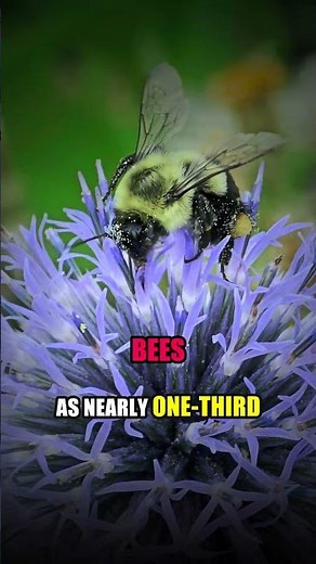 What Happens If Bees Disappear by 2030?