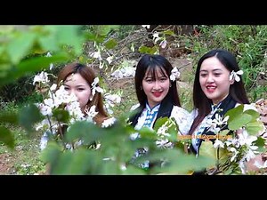 Hoa Ban Điện Biên - hình 2018