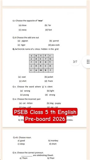 PSEB Class 5 th English pre board 2026 important sample paper full solution