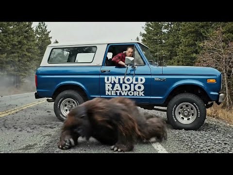 Sasquatch vs. Insurance Scams? 😂 Bigfoot's life is more hectic than you think #shorts