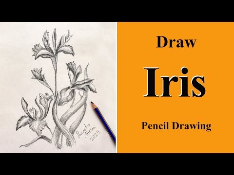 Learn to Draw Irises | Realistic Flower Pencil Drawing for Beginners