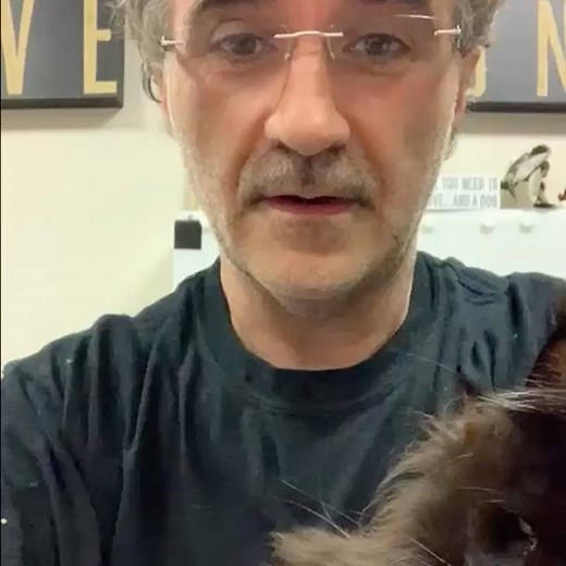 Noel Fitzpatrick | It is officially Ricochet Day! Celebrating 2 years. Happy Birthday buddy 🎈 x | Instagram