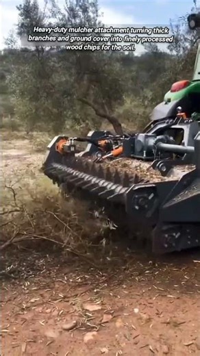 Powerful tractor mulching heavy brush efficiently for land management.