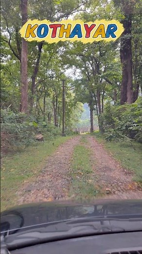 Kothayar💥போகும் பாதை தூரமே #shorts #viral #youtubeshorts