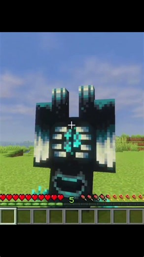 Minecraft secret name tags! #minecraft #edit