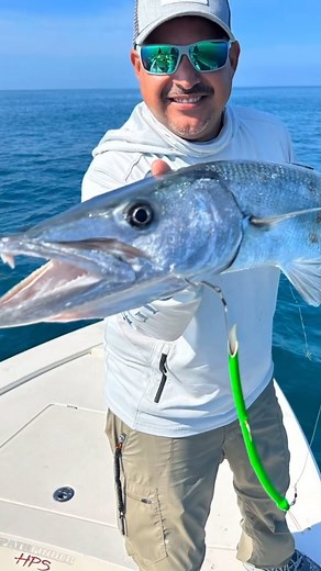 Asi capturamos barracudas🤯🤯🤯 Has probado este método ⁉️ Esta manguera fue realmente irresistible 🔥 para esta especie 🎣✅ Déjame tus comentarios 👇🏾🤯 Capitán: @willyespinosa_ #barracuda #señuelosparabarracuda #cuda | Hector Samuel Perez