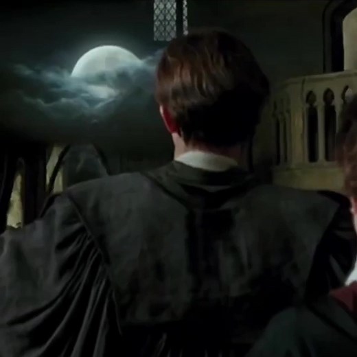 Heartbreaking Tribute to Remus Lupin and Nymphadora Tonks | Harry Potter