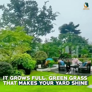 “I used to think having a beautiful green lawn was only possible with...