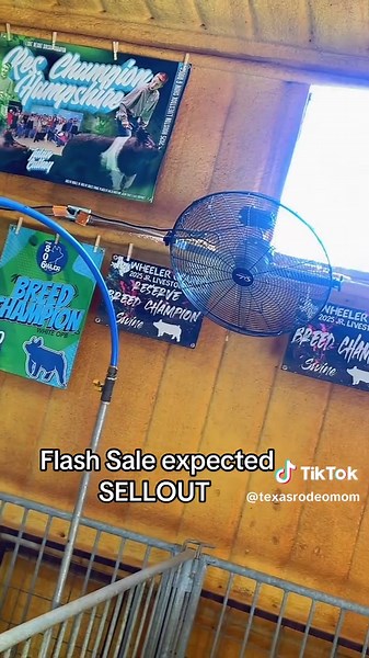 Top Fans for Livestock During Summer Heat